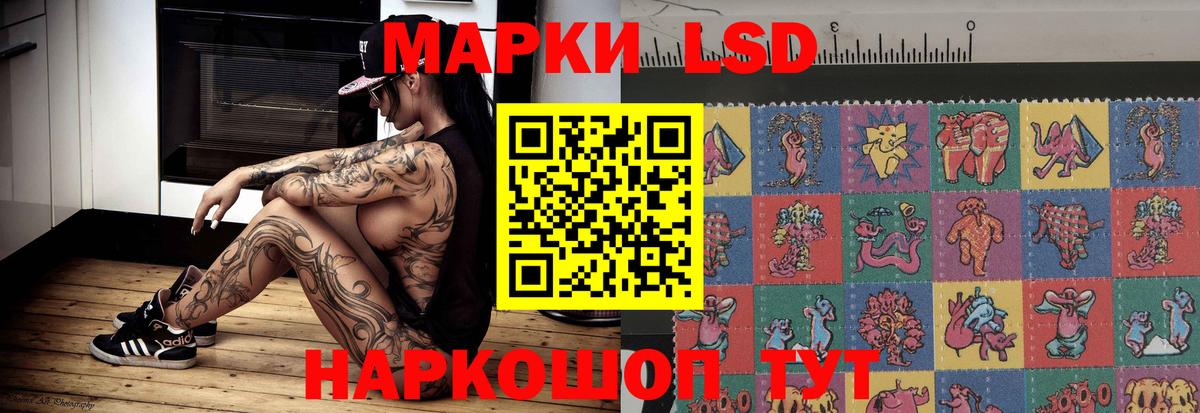 блэк спрут ССЫЛКА  LSD-25 экстази кислота  Лсд 25 экстази  LSD-25 экстази ecstasy  Вход с VPN  Зеленогорск 