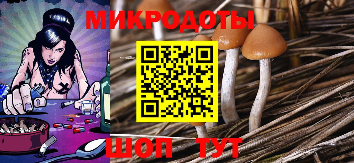 Галлюциногенные грибы Psilocybine cubensis Зеленогорск