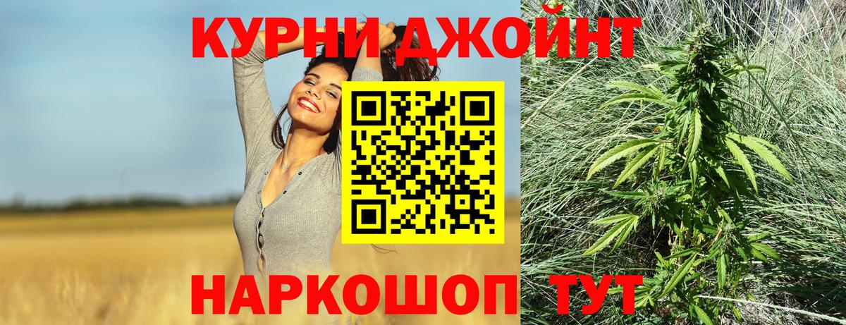 Шишки марихуана марихуана Зеленогорск